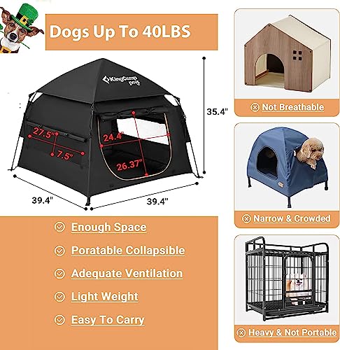 dog tent