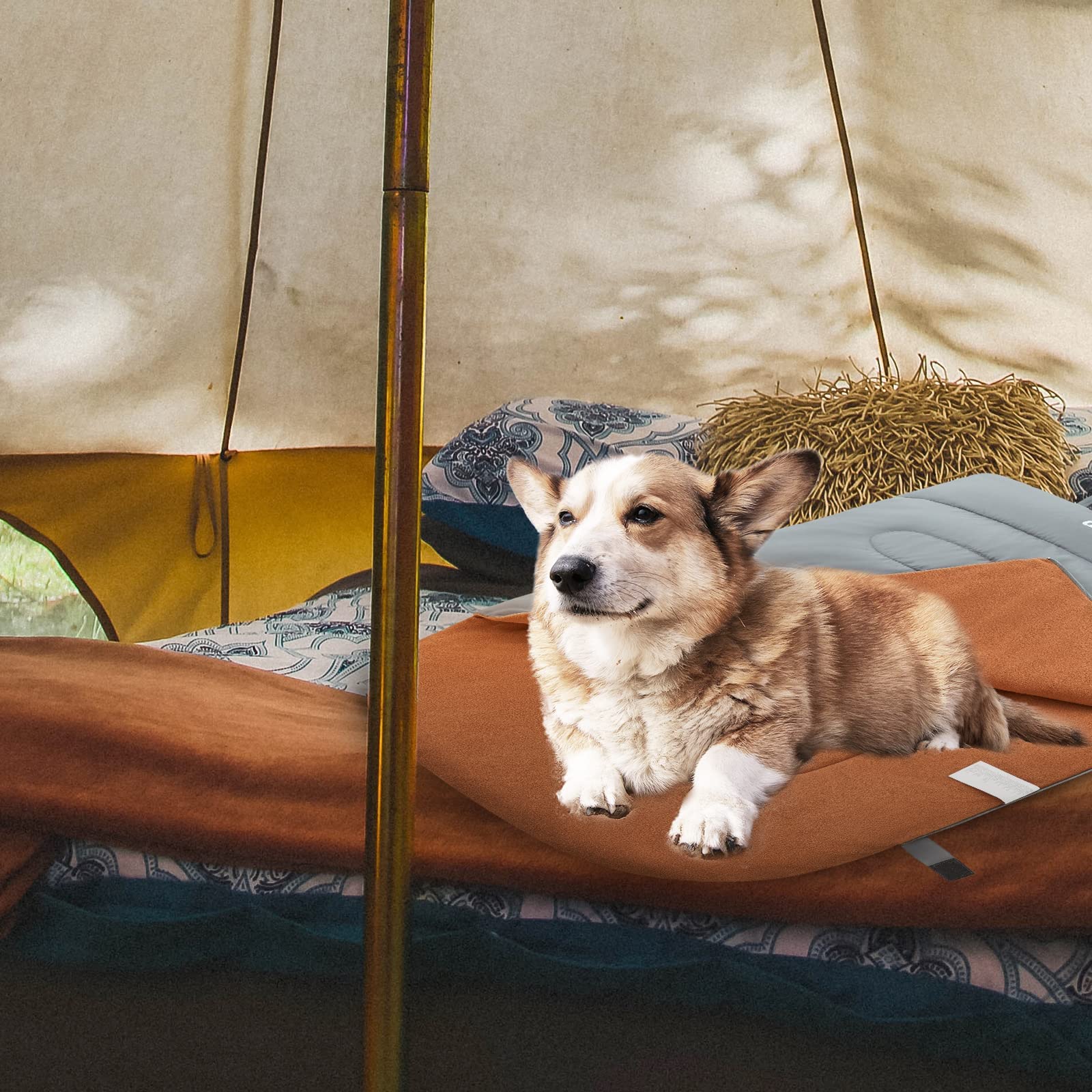 KingCamp PETS MOON POOL Dog Sleeping Bag