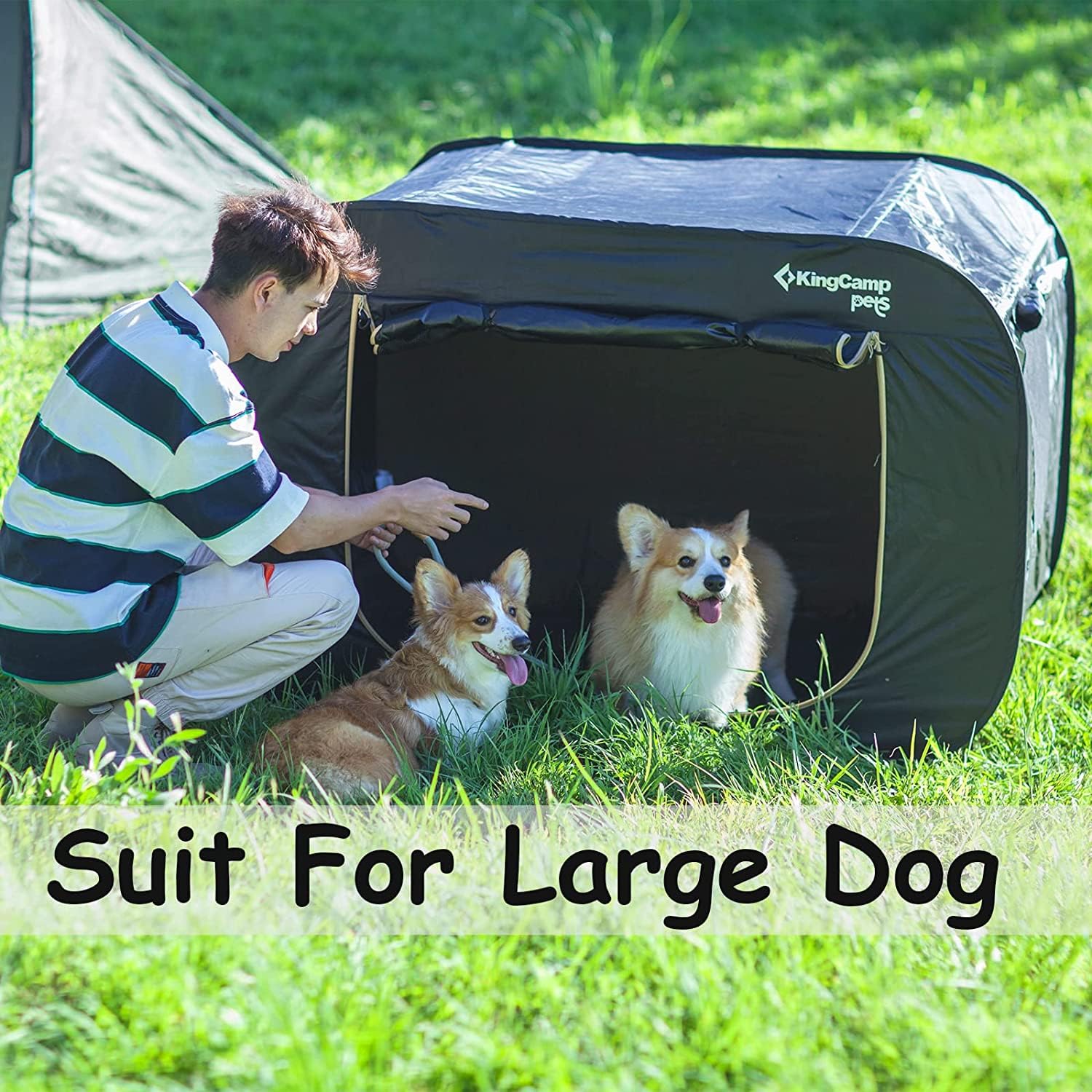 Pet sun shelter hot sale