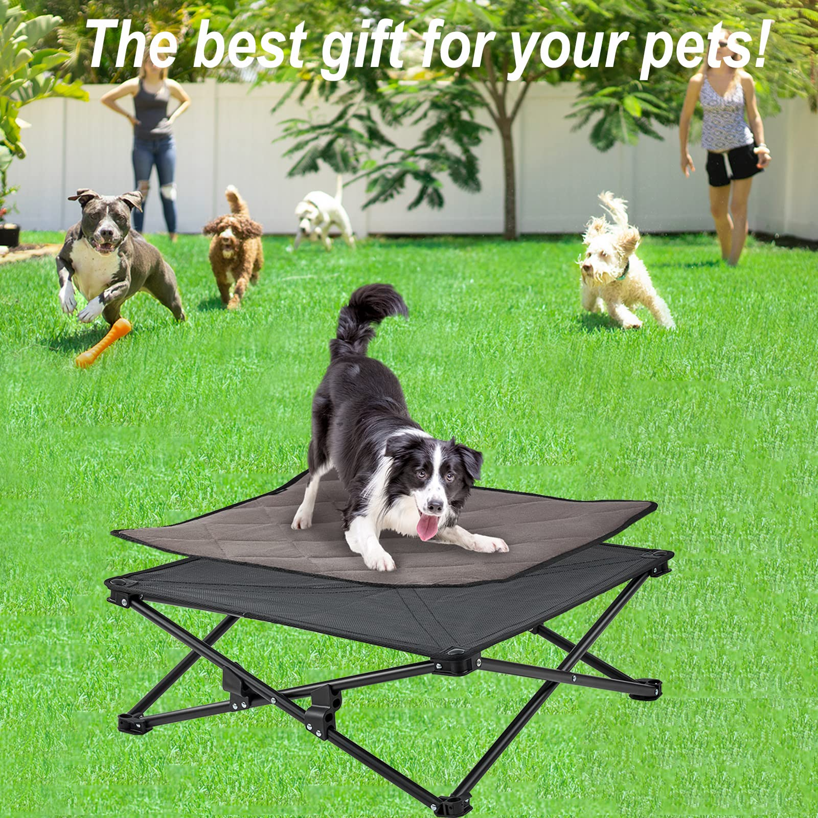 Medium Foldable Elevated Dog Bed – Portable Camping Cot Style, Textilene Fabric, Supports Up To 200 Lbs